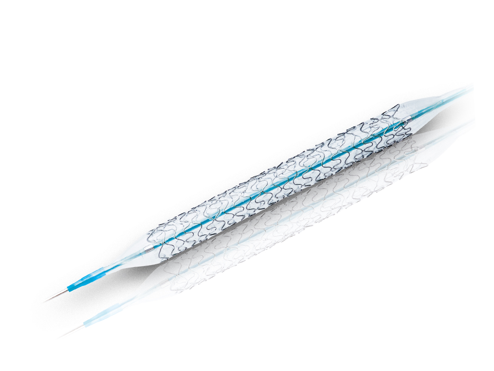 H-Stent™冠状支架系统