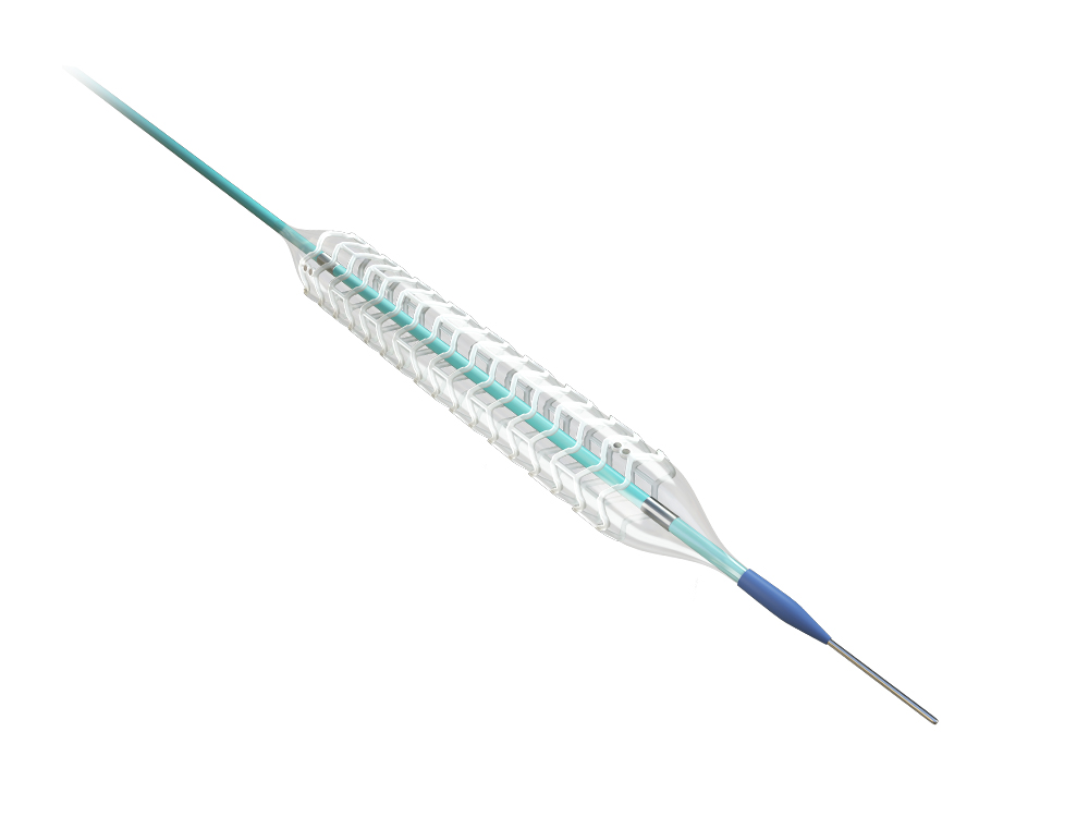 NeoVas™西罗莫司洗脱生物可吸收冠状支架系统