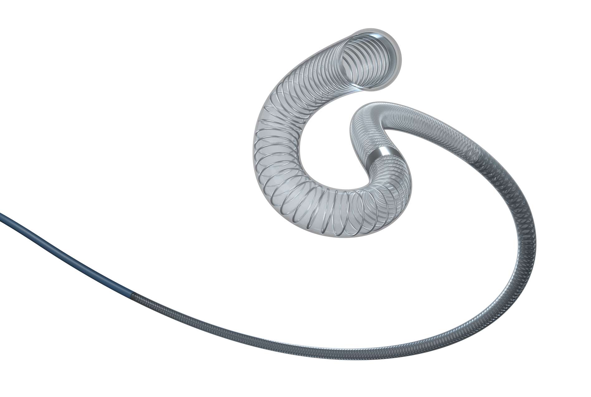 Frepass <一口>®可支配Microcatheter < / >共舞